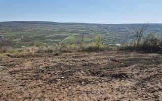 Teren intravilan de vânzare în comuna Tomesti - Poză 6