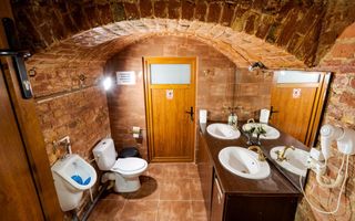 Ag BRASADAS vinde villa cu 20 camere Pta ROMANA. - Poză 14