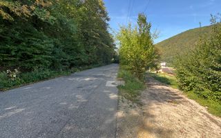 Teren extravilan de vânzare – Lacul Cinciș - Poză 1