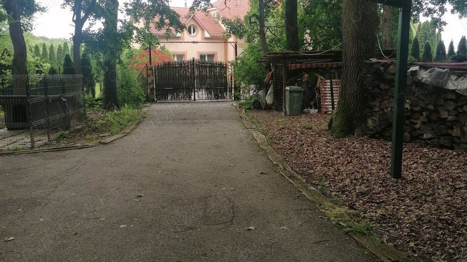 Vând casă Satu Mare P+M+D - Poză 2