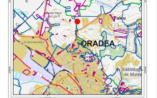 Teren intravilan în -Paleu 9.707 mp | Potențial excelent de investiție - Poză 3