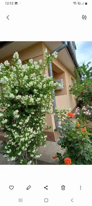 Vand casa, Sendreni -Galati - Poză 1