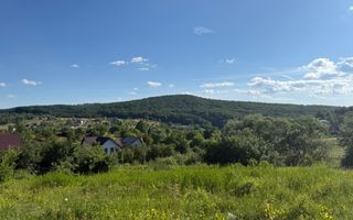 Tern intravilan - 8.6 ari, 2 parcele. Str.Podgoriei-Valea Ghinzi - Poză 3
