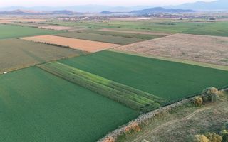 Teren extravilan, 8700 mp, pretabil agricultură sau investiție - Bod - Poză 4