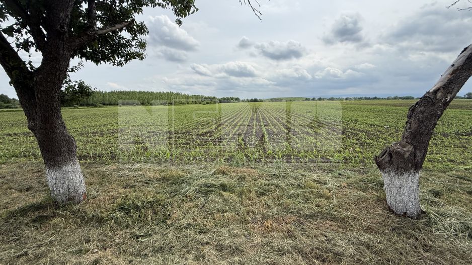 Teren extravilan de vânzare | Satu Mare, județul Suceava | 3.750 mp - Poză 2