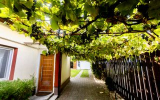 Casa individuala cu 4 camere in zona Fratelia - Poză 2