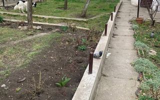 Oportunitate rară! Casă cu teren generos în zona Grand Hotel Italia - Poză 2