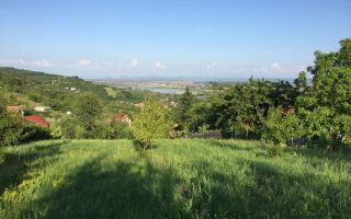 Teren Intravilan Podgoria - Poză 8