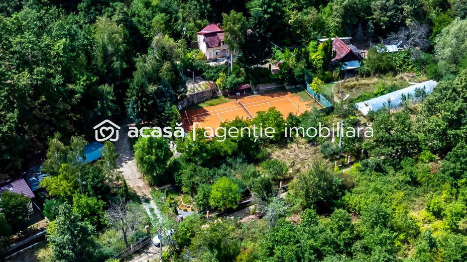 PROPRIETATE VÂNDUTĂ Casă conac cu 15.000 mp deal împădurit la Barațca, - Poză 12