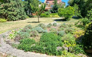 BRASADAS vinde casa P+M 6 cam 227mp teren 11 ari in 14 Mai. - Poză 18