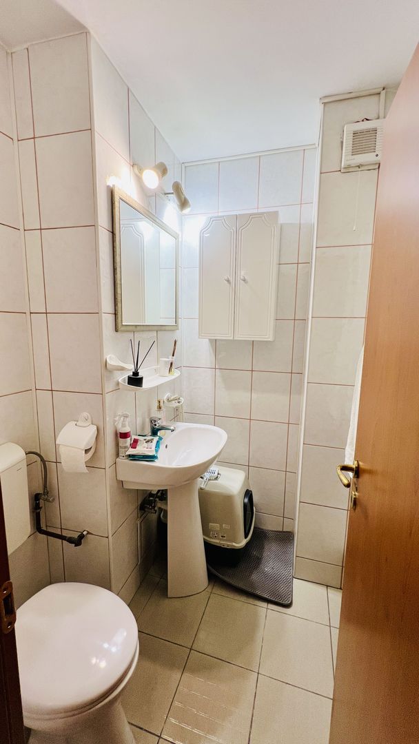 Apartament 3 camere mobilat utilat Piata Alba Iulia, Burebista - Poză 13