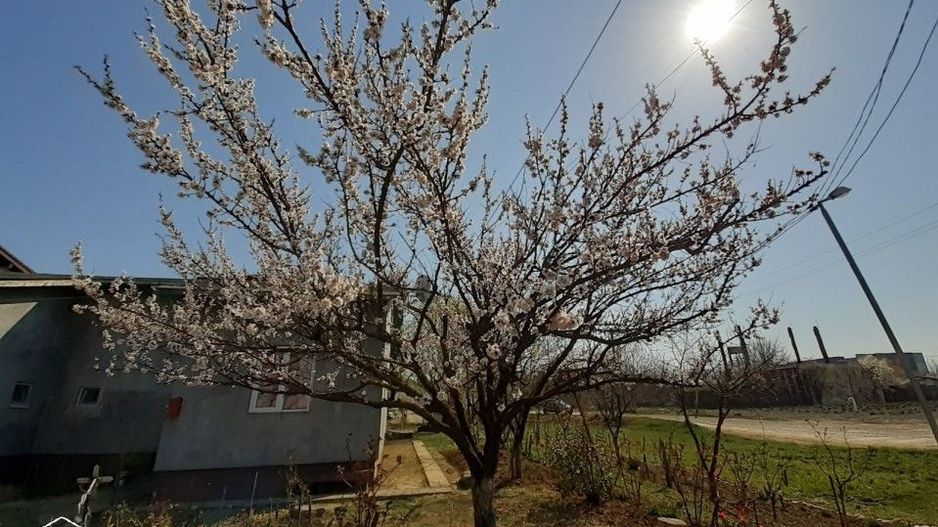 Duplex parter, cu gradina si mini livada - Poză 3