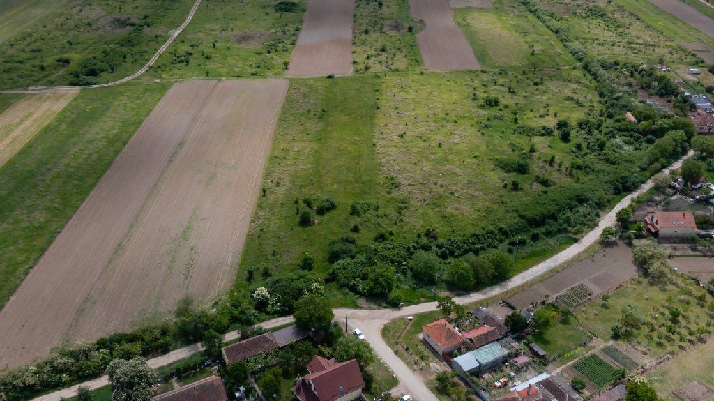 Teren extravilan 5000 mp Urseni, Timiș - Poză 6