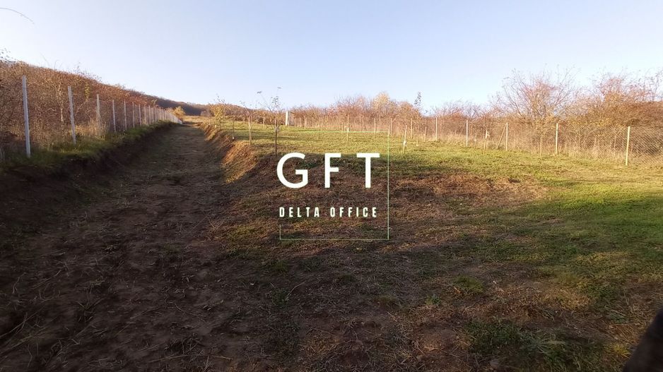 Teren intravilan 2700 mp-ideal case/investitie-Viisoara - Poză 2