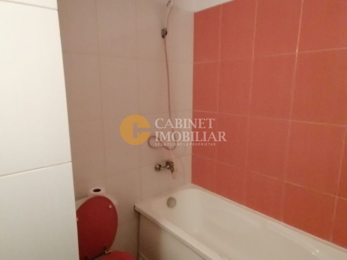 Nicolina- Apartament Cu 2 Camere Decomandat Etaj Intermediar  Bloc 2010 - Poză 7