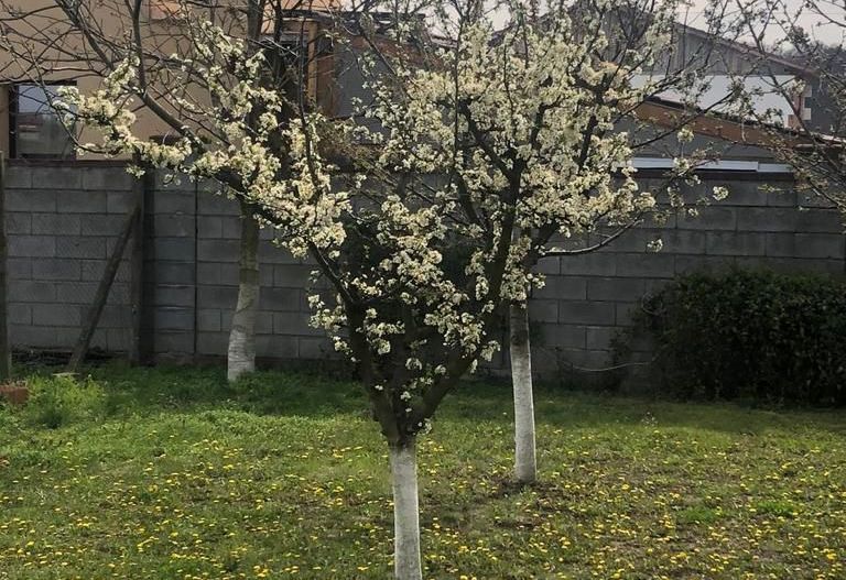 Casa individuala-zona Dumbravita lac-comision zero - Poză 15