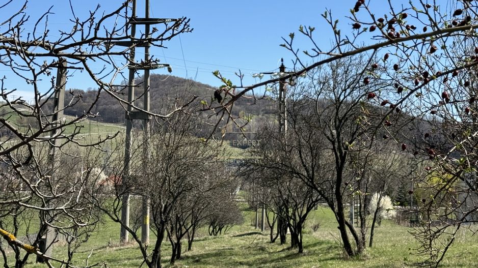 TEREN INTRAVILAN 2800MP CAMPULUNG ZONA PESCAREASA - Poză 6