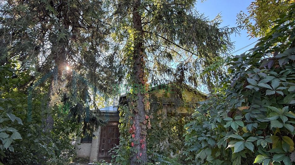 Teren de vânzare în Copou, Iași – 477 mp, amplasat pe Șoseaua Ștefan cel Mare și Sfânt - Poză 3