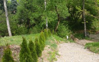 Teren pentru cabana, Marajdie deschidere la rau Gura Raului Sibiu - Poză 4