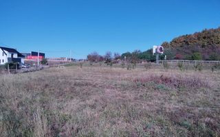 Teren intravilan 1,23 Ha la DN17 cu utilitati-livada-Crainimat - Poză 2