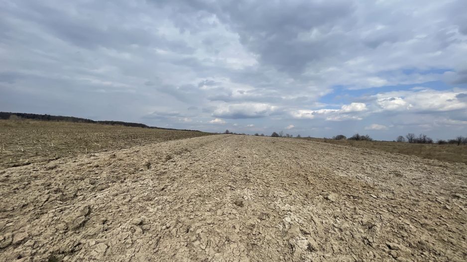 TEREN EXTRAVILAN | 23 ARI | HORODNIC DE SUS - Poză 4