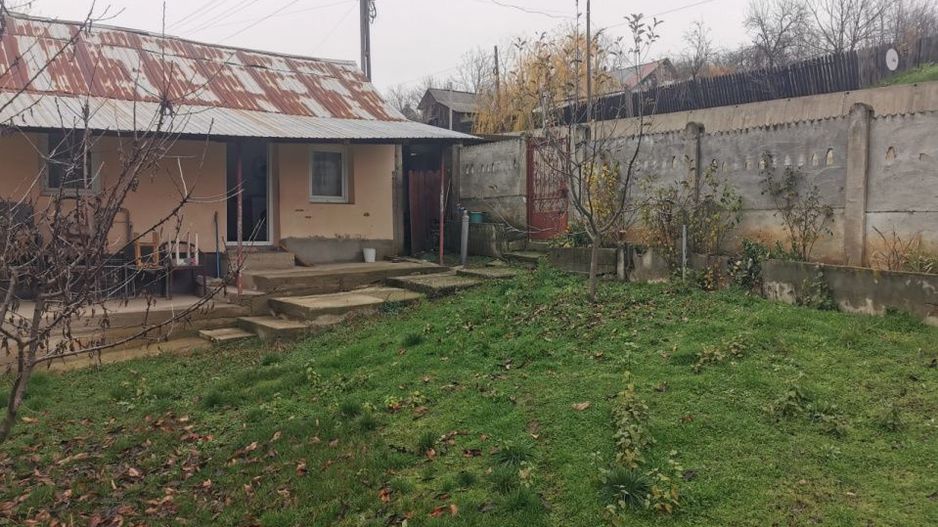 De vanzare casa in Argetoaia cu teren 7.000 mp - Poză 1