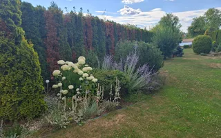 BRASADAS vinde casa cu iesire la lac - Poză 13