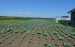 Casă de vânzare Prelipca/Suceava - Poză 24