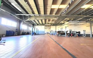 Showroom cu hală de depozitare - 6230 mp #Plus-imo.ro - Poză 7