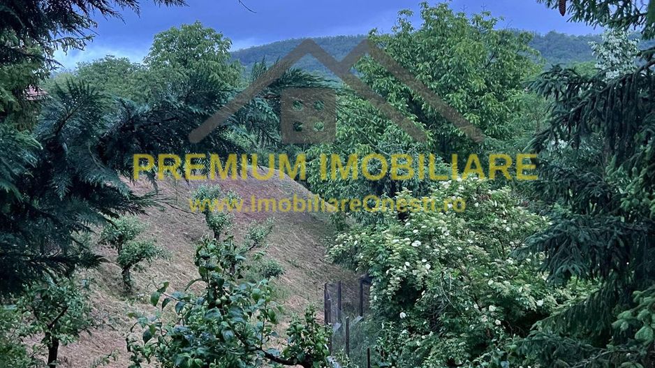 Casa de Vanzare - Caiuti - Blidari - Poză 10