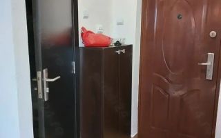 Garsonieră spațioasă de închiriat Constantin Brâncoveanu - Poză 4