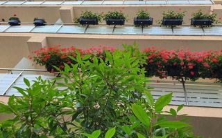 Garsoniera Copou Parcul Expozitiei Exclusive Residence - Poză 21