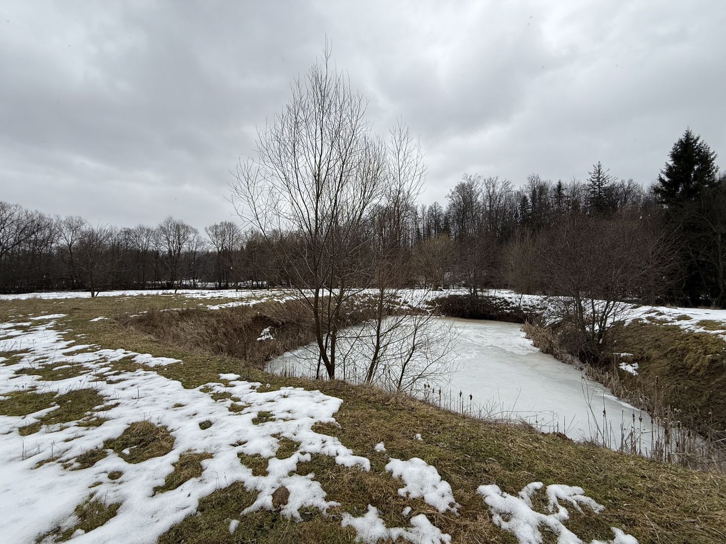 Teren extravilan | Horodnic De Sus | 3600MP - Poză 10