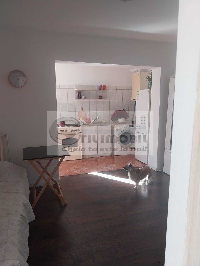 Apartament la casa, curte proprie, , Podul de Fier - Poză 7