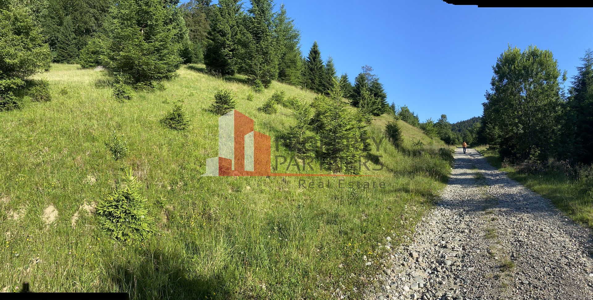 Teren 14400 mp la iesire din Rasnov inspre Pârâul Rece-Trei Brazi - Poză 1