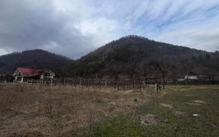 Teren 2540 mp intravilan Oituz - Poză 2