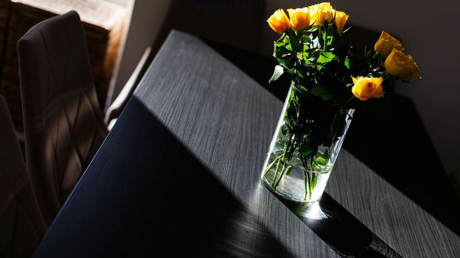 Apartament de Lux cu 3 Camere & Curte Privată de 212 mp în Timișoara - Poză 44