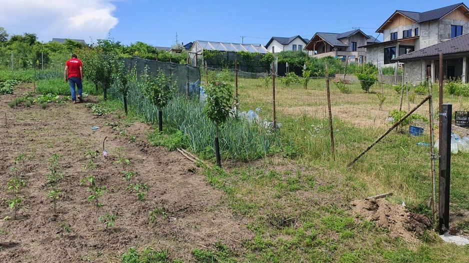 Teren INTRAVILAN 730 mp, zona FILATURII - Silver Mall; - Poză 3