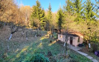 Casa 4 camere, teren 1960m2, CT, Provita, Prahova - Poză 8