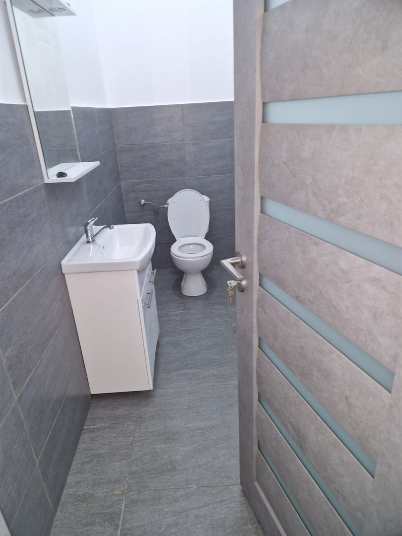 Spatiu Compercial cu vad zona Doamna Stanca-Sibiu - Poză 3