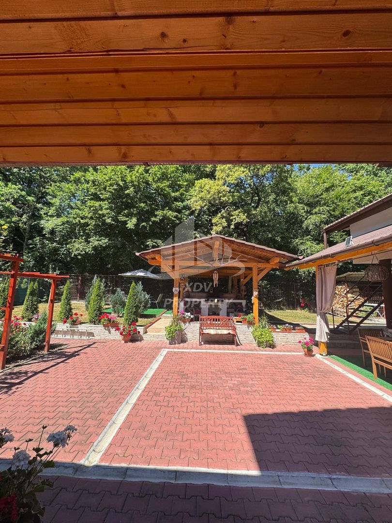 Vila  Frumoasa , Sibiu ,6 camere , 5 Bai , mobilata ,utilata - Poză 54