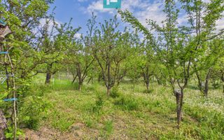 Casă cu 3 camere și teren generos în Drauț - Poză 9