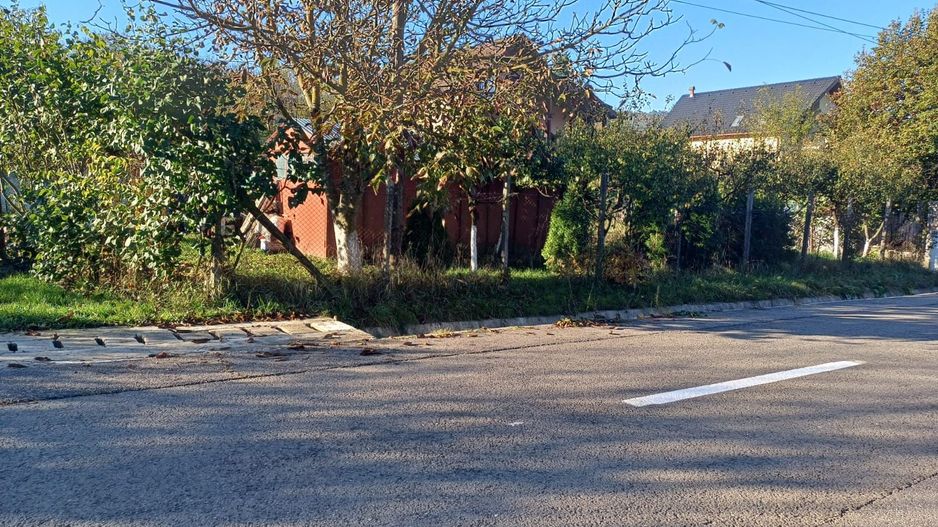 Teren intravilan 3000 mp - Corunca - Poză 1