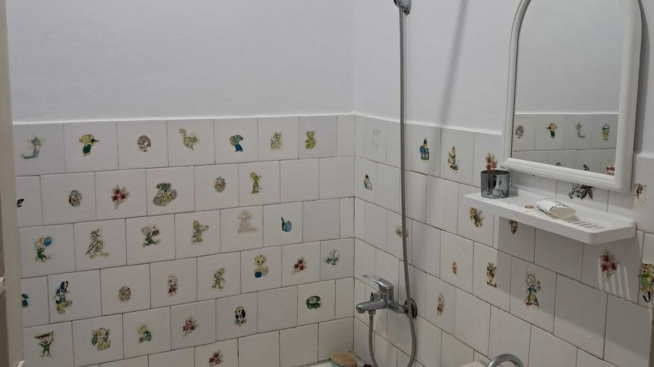 Casă de vânzare ,semicentral - Poză 6