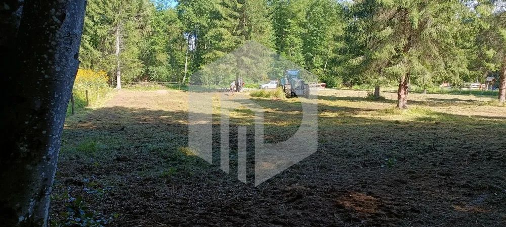 Teren Valea Avrigului- 900 mp- Intravilan+ Certificat de urbanism - Poză 4