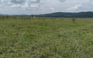 Teren 23700 mp (2,37 ha)-ideal investitie,cabana-Sesul Jelnei - Poză 4