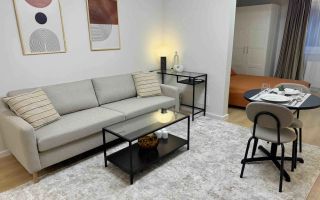 STUDIO PREMIUM | PET FRIENDLY | HERASTRAU - Poză 2