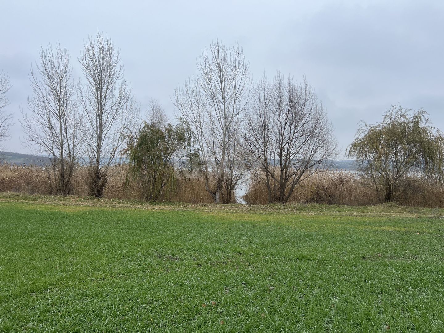 Teren cu acces direct la r.Nistru. - Poză 1