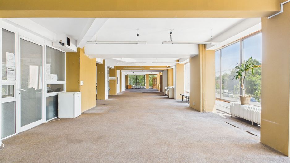 SAD – Calea Aradului, vad excelent - Poză 1