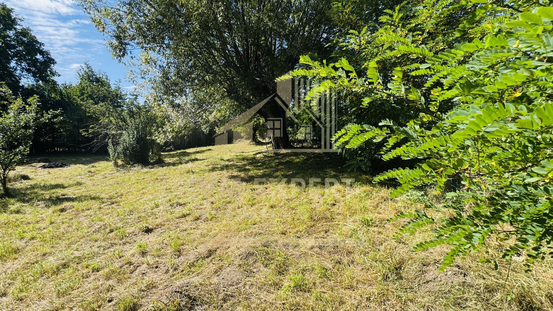 TEREN INTRAVILAN 3234 MP LEREȘTI VOINEȘTI ARGEȘ - Poză 8